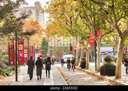 30 Novembre 2018: Shanghai in Cina - i turisti e i ciclisti sotto i platani con fogliame di autunno, nel quartiere di Xintiandi, la vecchia concessione francese, Foto Stock