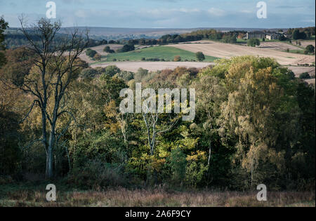 Campagna inglese bosco di latifoglie con terreni coltivati al di là del confine rurale della contea di Durham e il Northumberland a nord di Consett Shotley Bridge Foto Stock