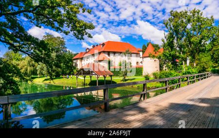 Bei castelli medievali di Slovenia - Grad Otocec oltre il fiume Krka Foto Stock