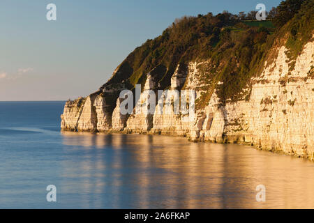 Birra, Jurassic Coast Sito Patrimonio Mondiale, Devon, Inghilterra Foto Stock