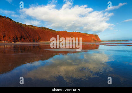 Pietra arenaria rossa scogliere sulla costa Exmouth, Devon, Inghilterra, Regno Unito Foto Stock