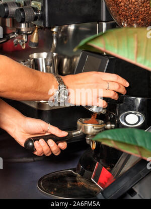 Mani barista macina i chicchi di caffè in una macchina da caffè per fare un drink. Foto Stock