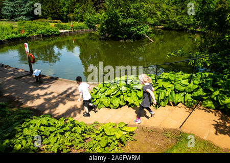 I bambini in esecuzione per lo stagno in Hylands Park, casa, Chelmsford Foto Stock