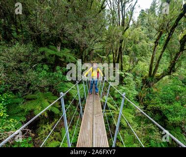 Escursionista sul ponte di sospensione nella foresta, Pouakai circuito, Egmont National Park, Taranaki, Isola del nord, Nuova Zelanda Foto Stock