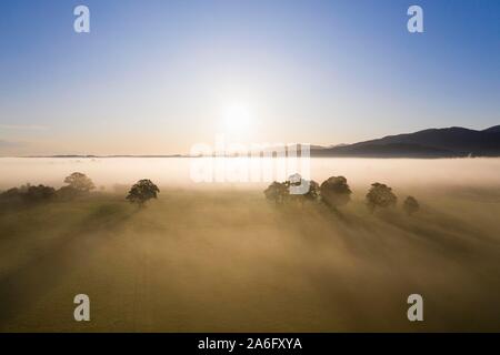 Sunrise, prato paesaggio con alberi e nebbia, vicino Greiling, vista aerea, Prealpi, Alta Baviera, Baviera, Germania Foto Stock