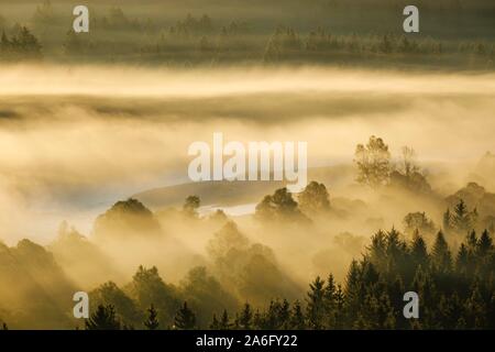 La nebbia in Pupplinger Au a sunrise, Riserva Naturale di Isarauen, Isar tra Icking e Wolfratshausen, Alta Baviera, Baviera, Germania Foto Stock