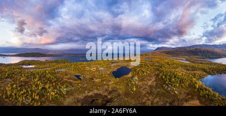 Fjeld autunnale, betulle e tundra, lago Tornetrask nel retro, Bjorkliden, Norrbotten, Lapponia, Svezia Foto Stock