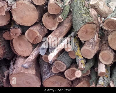 La silvicoltura, vista di segato e accatastati tronchi di alberi Foto Stock