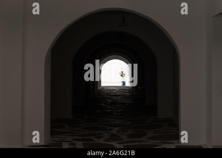 Foto di coloratissimi fiori di bouganville in fiore pot alla fine di un tunnel scuro Foto Stock