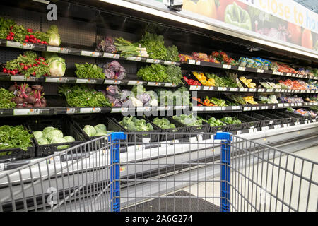 Carrello di spinta attraverso walmart superstore verdura fresca corsia indiana USA Foto Stock