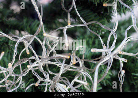 Natale Luce stringhe su un albero di Natale. La stringa è trasparente e le luci sono di piccole dimensioni e di colore giallo chiaro lampadine a LED. Efficienti in termini di consumo di energia! Foto Stock