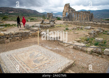 Pavimento a mosaico in rovine romane di Volubilis in Marocco Foto Stock