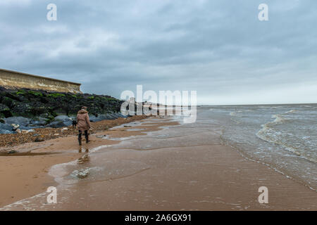 Una donna cammina il suo cane da lavoro, Border Collie cross Labrador indossa un collare rosso acceso in tutta la spiaggia in Walton sul Naze, Essex Foto Stock