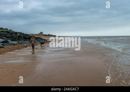 Una donna cammina il suo cane da lavoro, Border Collie cross Labrador indossa un collare rosso acceso in tutta la spiaggia in Walton sul Naze, Essex Foto Stock