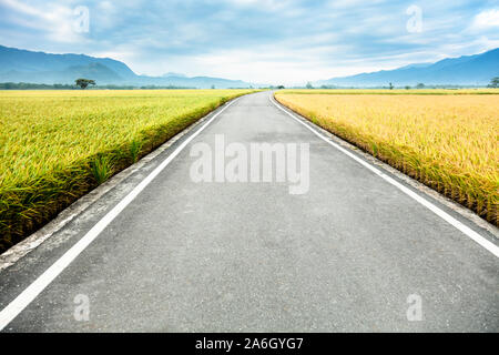 La strada passa attraverso il campo di riso Foto Stock