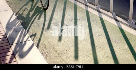 Nel tardo pomeriggio ombra di una bicicletta in una bici verde lane Foto Stock