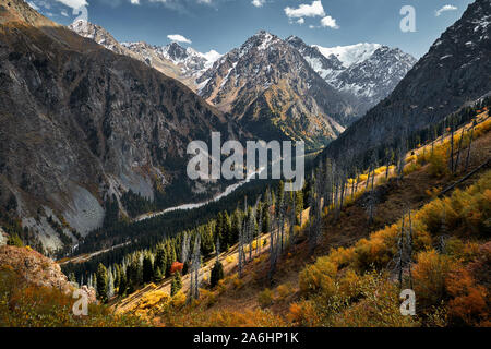 Lo splendido paesaggio della valle di montagna con il fiume e Giallo autunno foresta in Kazakistan, Almaty Foto Stock