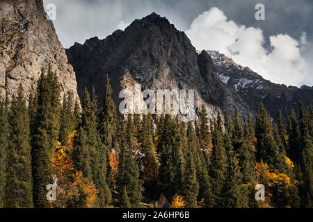 Lo splendido paesaggio della valle di montagna con la foresta di autunno al tramonto in Kazakistan Foto Stock