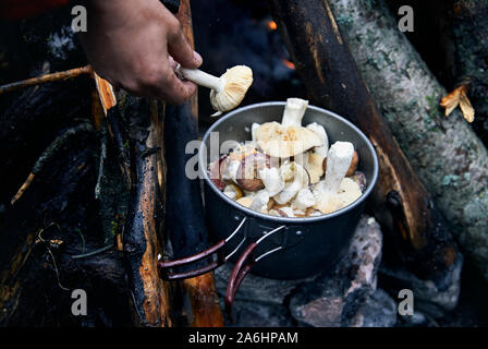 I funghi nel piatto vicino al falò in foresta Foto Stock