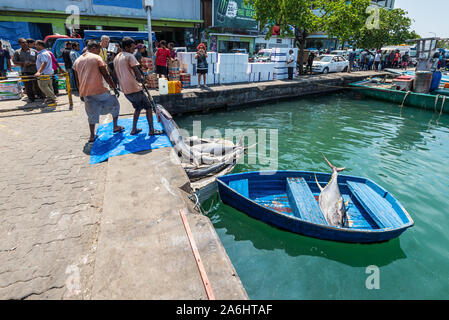 Maschio, Maldive - Novembre 17, 2017: Area del mercato del pesce fresco nel maschio, Maldive. Un pescatori su imbarcazioni a remi piena di enorme appena catturati di tonno di erogazione Foto Stock