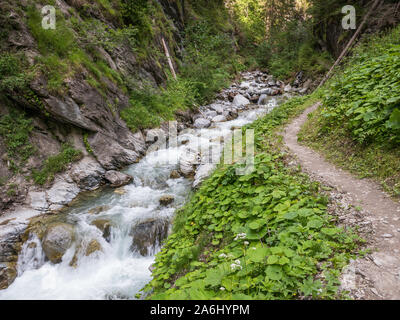 Vista del Canyon Radurschl, sede di un famoso sentiero escursionistico a Pfunds, Tirolo, Austria Foto Stock