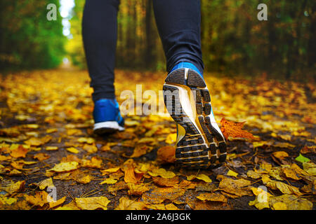 Il pareggiatore piedi in blu sneakers close up. Un atleta donna eseguire nella foresta di autunno. Jogging in una splendida foresta di autunno disseminata di foglie cadute, Foto Stock