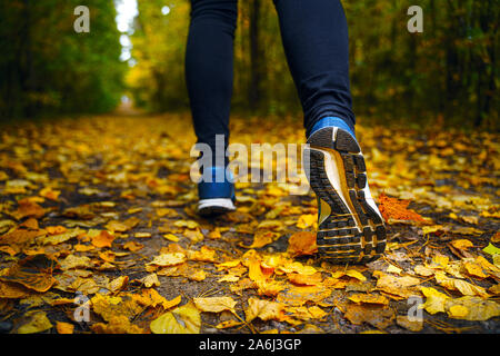 Il pareggiatore piedi in blu sneakers close up. Un atleta donna eseguire nella foresta di autunno. Jogging in una splendida foresta di autunno disseminata di foglie cadute, Foto Stock