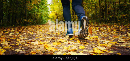 Il pareggiatore piedi in blu sneakers close up. Un atleta donna eseguire nella foresta di autunno. Jogging in una splendida foresta di autunno disseminata di foglie cadute, Foto Stock