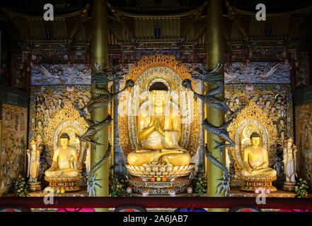 JEJU Island, Corea del Sud - 15 ottobre 2019: Golden Statue di Buddha all'interno di Dharma Hall del tempio Yakcheonsa sull'Isola di Jeju, Corea del Sud. Foto Stock