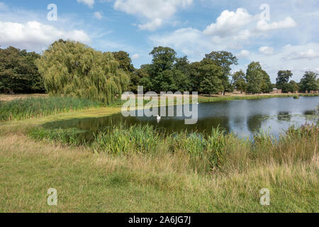 Vista generale di Hampton Wick stagno, Home Park, vicino a Hampton Court Palace e Hampton, Regno Unito. Foto Stock