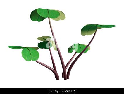 3D illustrazione di Oxalis acetosella o legno sorrel impianti isolati su sfondo bianco Foto Stock