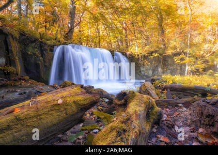 Vedere la splendida cascata in Oirase gola in autunno, Tohoku, Aomori Foto Stock