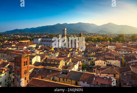 Lucca panoramica vista aerea della città e San Martino Cattedrale al tramonto. Toscana, Italia, Europa. Foto Stock
