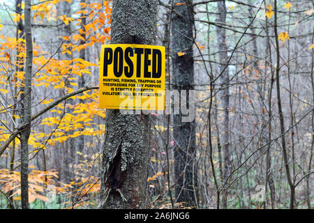 Posted segno su albero nella foresta divieto di caccia e pesca la cattura o la trasgressione Foto Stock