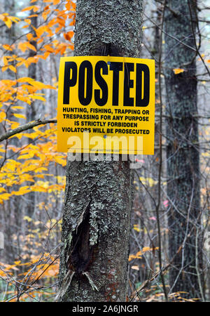 Posted segno su albero nella foresta divieto di caccia e pesca la cattura o la trasgressione Foto Stock