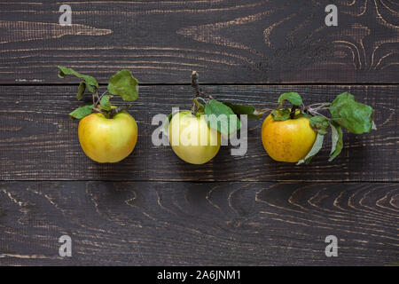 Fresche biologiche mele giallo con foglie in centro in un marrone naturale sfondo di legno Foto Stock