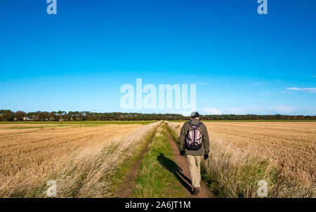 Firth of Forth, East Lothian, UK. Il 27 ottobre 2019. Regno Unito Meteo: un uomo anziano gode di una passeggiata su una via attraverso i campi di stoppie in una fredda giornata di sole a Dirleton Foto Stock