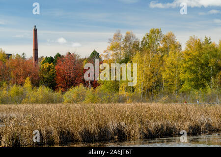 SACKVILLE, New Brunswick, Canada - 22 novembre 2019: Walkers escursioni sul lago e palude alla Sackville Waterfowl Park di Sackville, New Brunswic Foto Stock