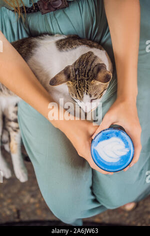 Giovane donna avente una colazione mediterranea seduto al divano e con il suo gatto e bevande bevanda alla moda: blu del latte. Hot butterfly pea latte o blu Foto Stock