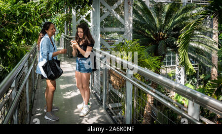 Madre e teen permanente e la passeggiata nel giardino botanico di scattare le foto Foto Stock
