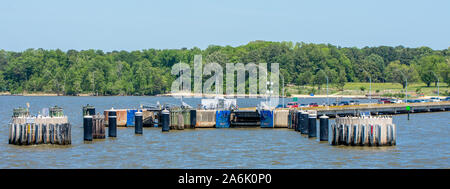 Dock di traghetto sul fiume in Virginia con auto, camion e le persone in attesa di traghetto Foto Stock