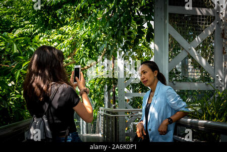 Madre e teen permanente e la passeggiata nel giardino botanico di scattare le foto Foto Stock