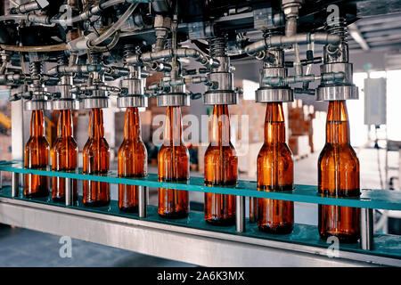 Bottiglie di birra il riempimento sul nastro trasportatore nella fabbrica di birra Foto Stock