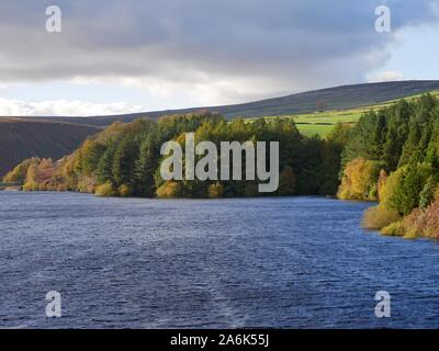 Un ventoso giorni di autunno a serbatoio Digley guardando attraverso il viale alberato banca sui Pennines sopra Holmfirth Yorkshire Inghilterra Foto Stock