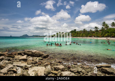 Anse Figuier, Martinica, Francia - 14 August 2019: Anse Figuier spiaggia tropicale in Martinica Foto Stock