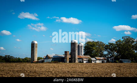 Agriturismo circondato da un campo di raccolto nella contea di Alamance Carolina del Nord Foto Stock