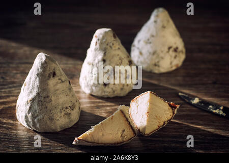 Formaggio artigianale da mucche e capre latte. Testa cilindrica Foto Stock