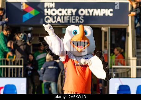 Amstelveen, Paesi Bassi. 27 ott 2019. AMSTELVEEN, 27-10-2019, FIH Hockey Olympic i qualificatori 2019 (l'uomo). Luogo: Wagener Stadion. Stockey durante il gioco vs Paesi Bassi Pakistan. Credito: Pro scatti/Alamy Live News Foto Stock