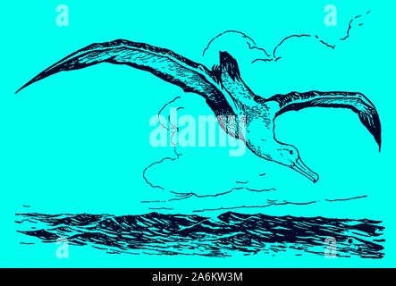 Albatross è volare sopra il mare e iniziando a picchiata su uno sfondo blu. Modificabile in strati Illustrazione Vettoriale