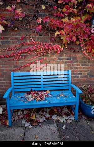 Esterno blu panchina coperta in Virginia e foglie di superriduttore Foto Stock